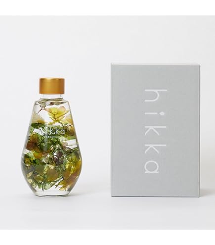 Amazon.co.jp: ブルームアクア hikka (ヒッカ) フレーム